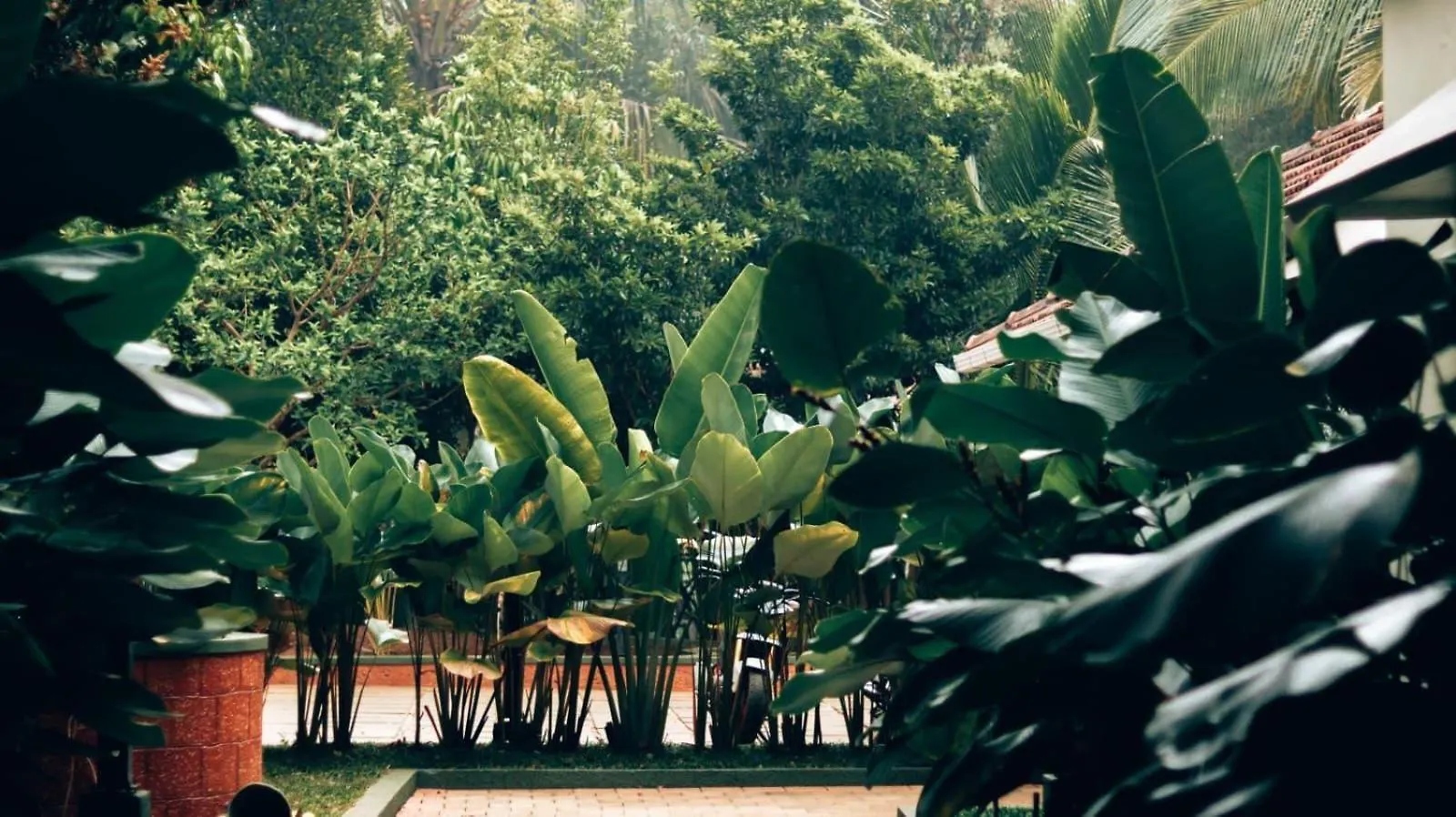 Icon Riverside Resort Kalpatta Indie